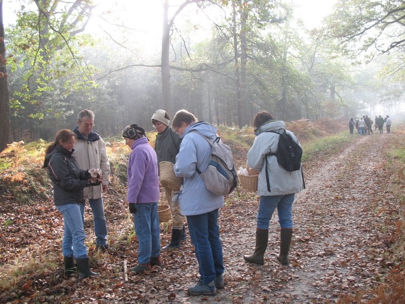 2006 11 Mycobocquet 16